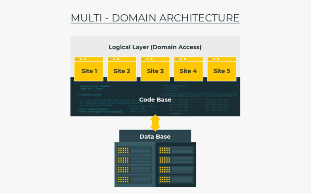 multi-domain architecture